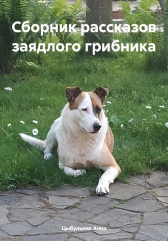 . Сборник рассказов заядлого грибника