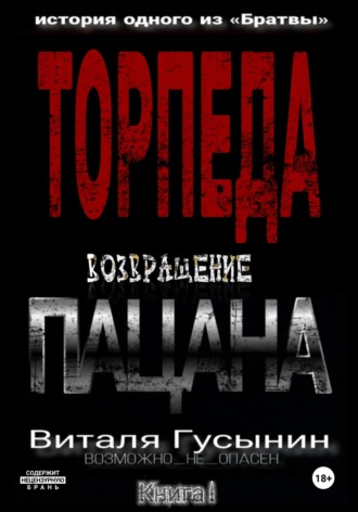 Виталя Гусынин (Возможно не Опасен). Торпеда. Возвращение пацана. Книга 1