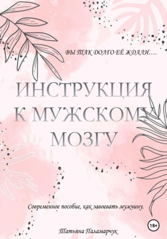 Татьяна Сергеевна Паламарчук. Инструкция к мужскому мозгу