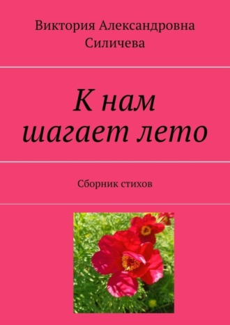 . К нам шагает лето. Сборник стихов