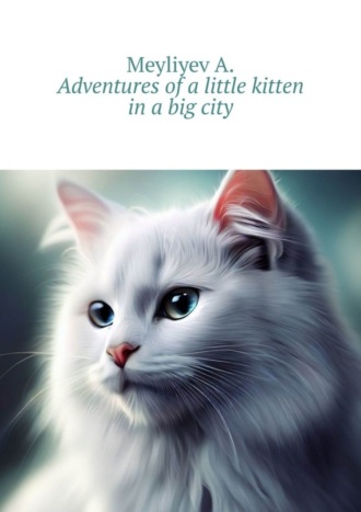 Meyliyev A.. Adventures of a little kitten in a big city