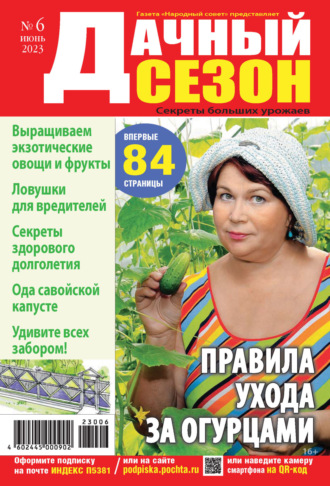 . Дачный сезон №06/2023