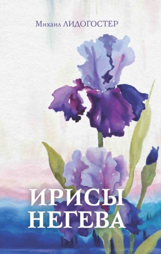 . Ирисы Негева