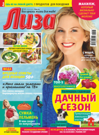 . Журнал «Лиза» №22/2023