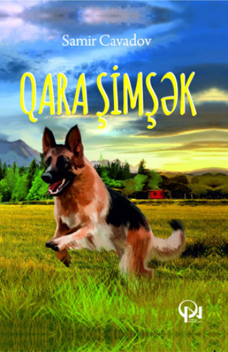 Samir Cavadov. Qara Şimşək