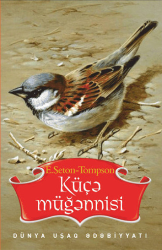 . KÜÇƏ MÜĞƏNNİSİ