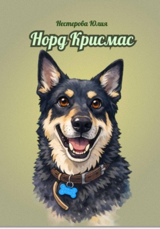 Юлия Нестерова. Норд Крисмас