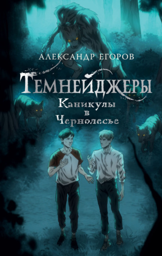 Александр Егоров. Темнейджеры. Каникулы в Чернолесье