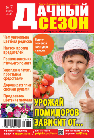 . Дачный сезон №07/2023