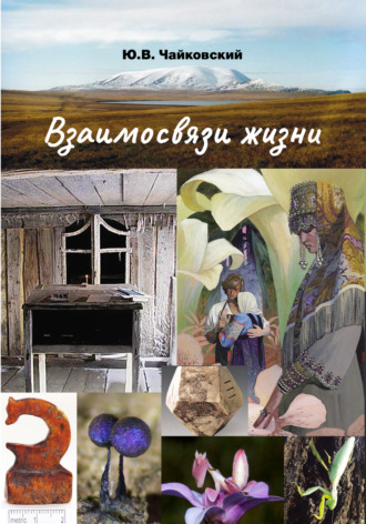 Ю. В. Чайковский. Взаимосвязи жизни. Мини-энциклопедия дополняет. Том 2. Р – Я и добавочные сведения