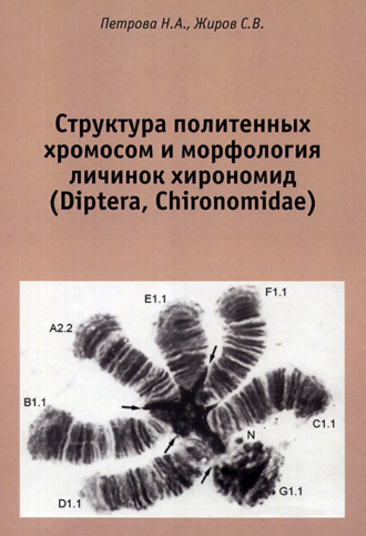 . Структура политенных хромосом и морфология личинок хирономид (Diptera, Chironomidae). Атлас