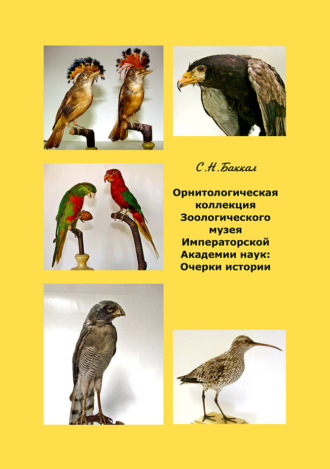 С.Н. Баккал. Орнитологическая коллекция Зоологического музея Императорской Академии наук. Очерки истории