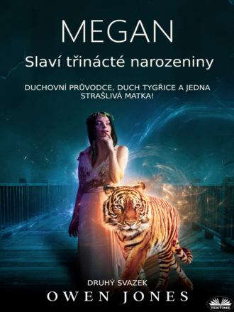 Оуэн Джонс. Megan Slaví Třinácté Narozeniny