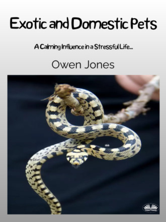 Оуэн Джонс. Exotic And Domestic Pets