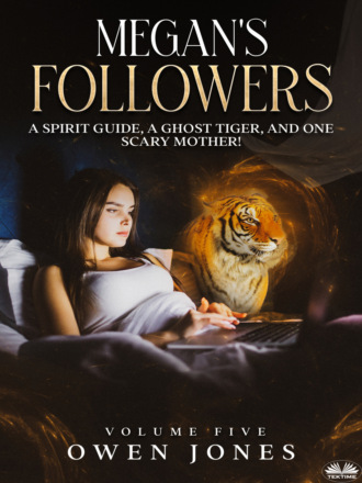 Оуэн Джонс. Megan's Followers