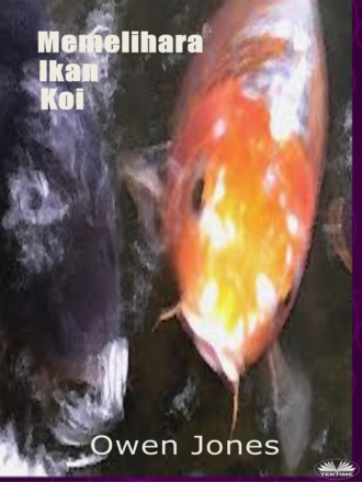 Оуэн Джонс. Memelihara Ikan Koi