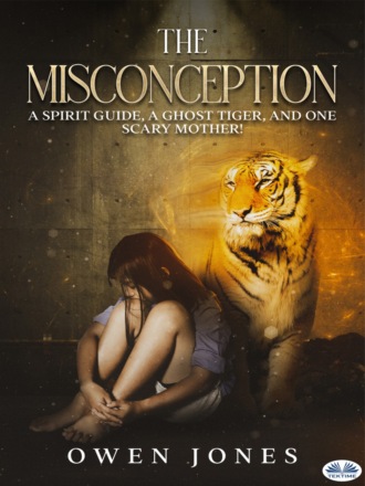 Оуэн Джонс. The Misconception