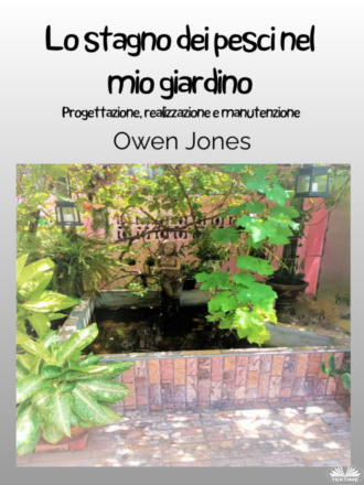 Оуэн Джонс. Lo Stagno Dei Pesci Nel Mio Giardino