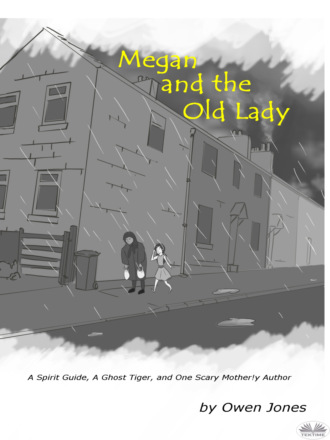 Оуэн Джонс. Megan And The Old Lady