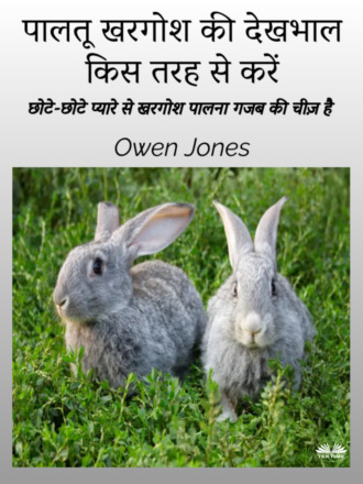 Оуэн Джонс. पालतू खरगोश की देखभाल किस तरह से करें