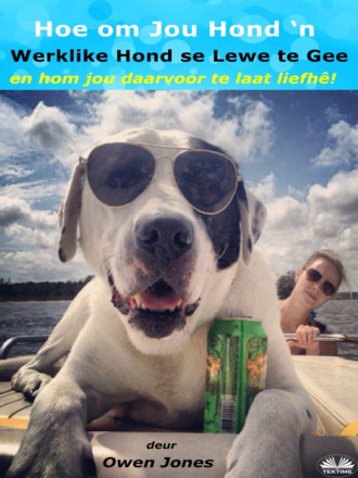 Оуэн Джонс. Elke Hond Kry Sy Dag