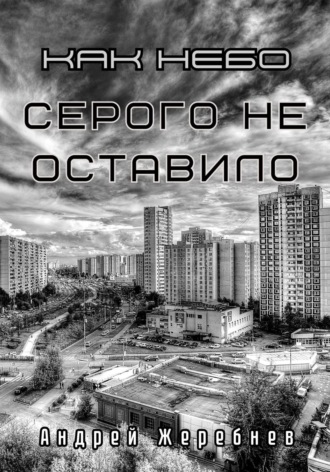 Андрей Жеребнев. Как небо серого не оставило