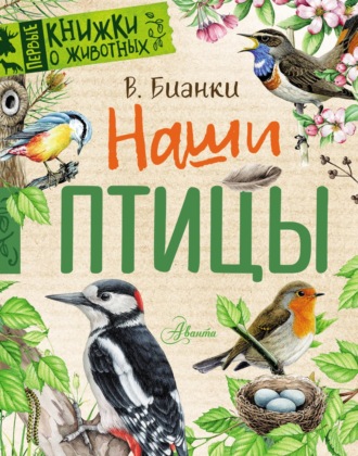 . Наши птицы