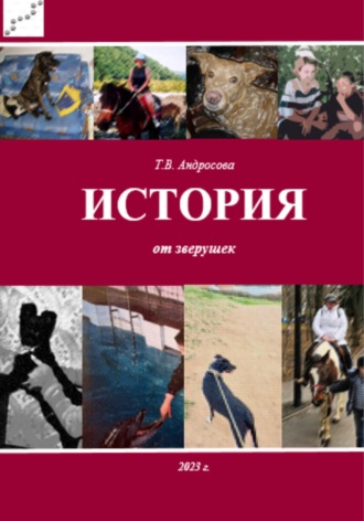 Татьяна Андросова. История от зверушек