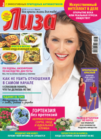 . Журнал «Лиза» №29/2023