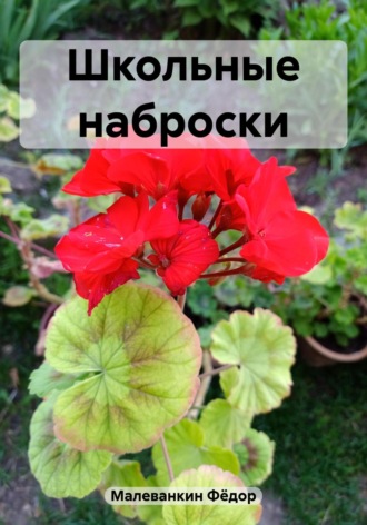 . Школьные наброски