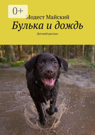 Модест Майский. Булька и дождь. Детский рассказ