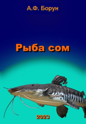 . Рыба сом
