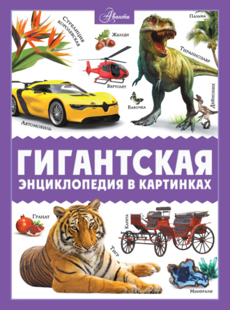 . Гигантская энциклопедия в картинках