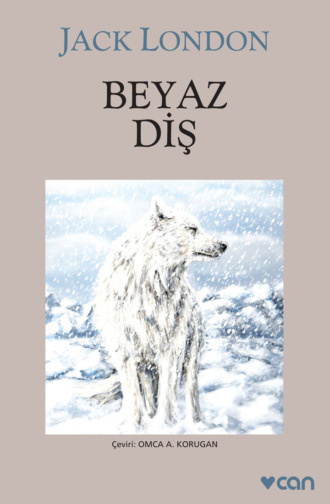 . Beyaz Diş