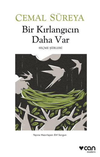 Süreya Cemal. Bir Kırlangıcın Daha Var
