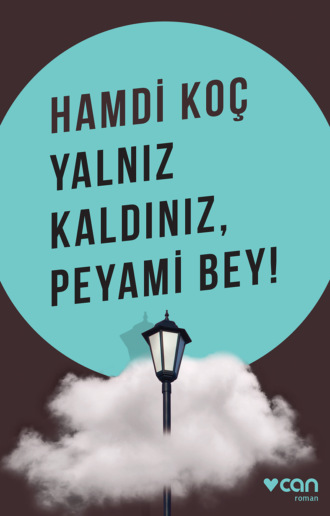 . Yalnız Kaldınız, Peyami Bey!