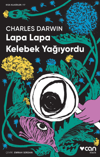 . Lapa Lapa Kelebek Yağıyordu