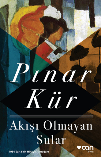 . Akışı Olmayan Sular