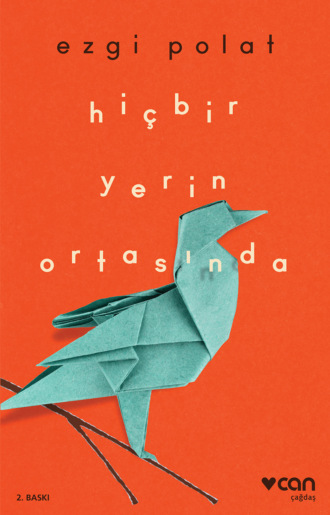 Polat Ezgi. Hiçbir Yerin Ortasında