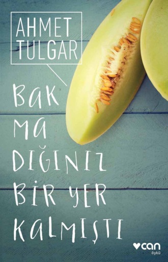 Tulgar Ahmet. Bakmadığınız Bir Yer Kalmıştı