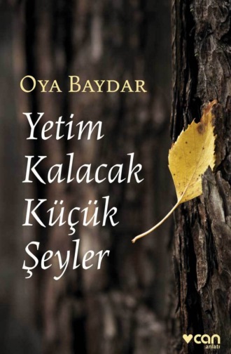 Ооя Байдар. Yetim Kalacak Küçük Şeyler