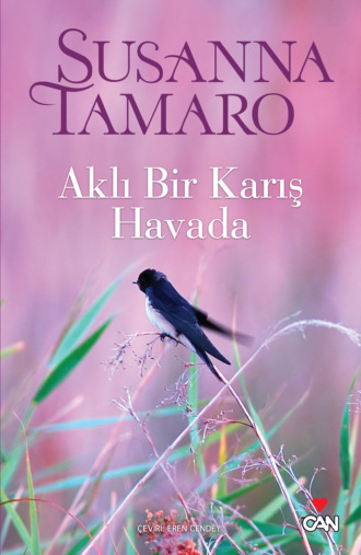 . Aklı Bir Karış Havada