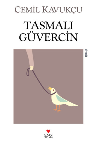 . Tasmalı Güvercin
