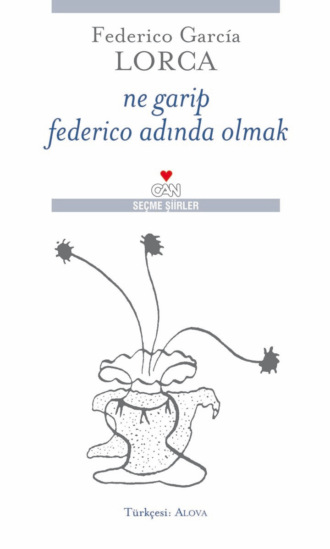 . Ne Garip Federico Adında Olmak