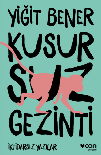 Bener Yiğit. Kusursuz Gezinti