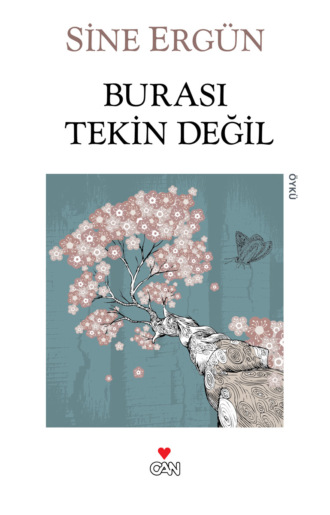 Ergün Sine. Burası Tekin Değil