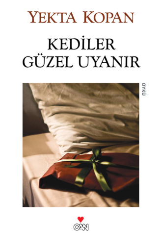 . Kediler Güzel Uyanır