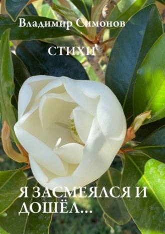 . Я засмеялся и дошёл… Стихи