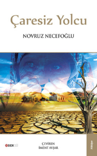 Novruz Necefoğlu. Çaresiz Yolcu