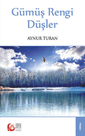 Aynur Turan. Gümüş Rengi Düşler